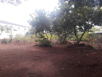 imagem 3 - Terreno - Padrão imagem 3 - Terreno - Padrão