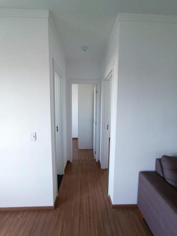 imagem 5 - Apartamento repleto em armários - RESERVA TERRA BRANCA! imagem 5 - Apartamento repleto em armários - RESERVA TERRA BRANCA!