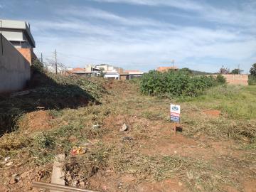 imagem 2 - Terreno - Padrão imagem 2 - Terreno - Padrão