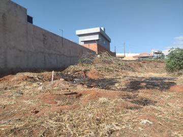 imagem 3 - Terreno - Padrão imagem 3 - Terreno - Padrão