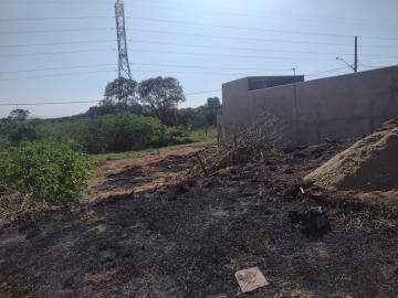 imagem 5 - Terreno - Padrão imagem 5 - Terreno - Padrão