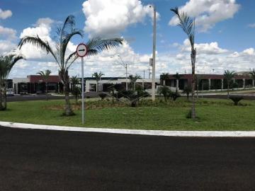 imagem 5 - TAMBORÉ imagem 5 - TAMBORÉ