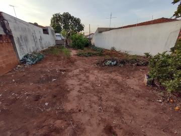 Terreno amplo com ótima localização