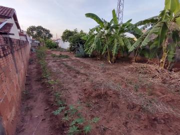 Terreno amplo com ótima localização