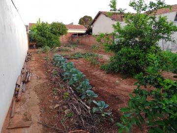 Terreno amplo com ótima localização