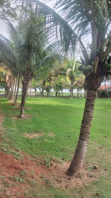 imagem 5 - SEDE NÁUTICA imagem 5 - SEDE NÁUTICA