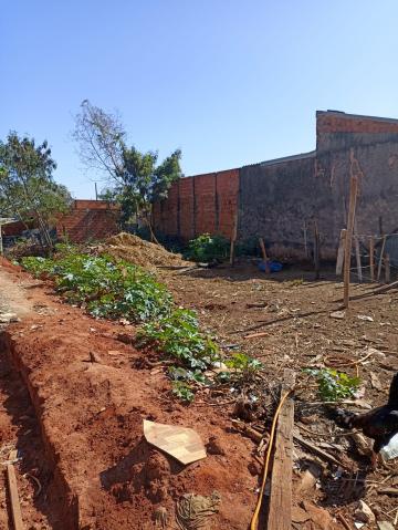 imagem 4 - TERRENO TANGARÁS 308M² imagem 4 - TERRENO TANGARÁS 308M²