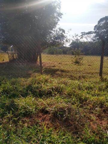 imagem 1 - Terreno - Padrão imagem 1 - Terreno - Padrão