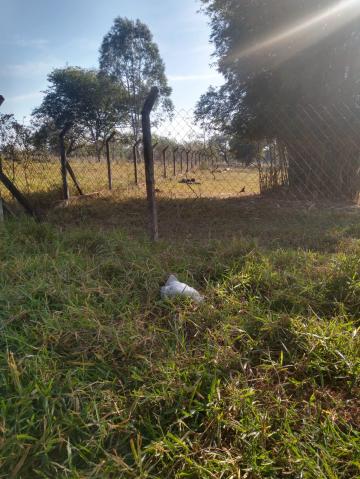 imagem 2 - Terreno - Padrão imagem 2 - Terreno - Padrão