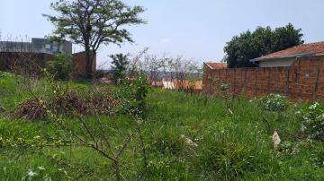 imagem 2 - Terreno - Padrão imagem 2 - Terreno - Padrão