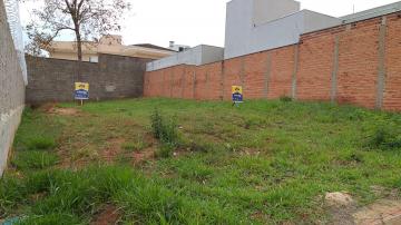 imagem 3 - Terreno - Padrão imagem 3 - Terreno - Padrão