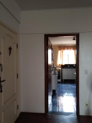 imagem 3 - Apartamento - Padrão imagem 3 - Apartamento - Padrão