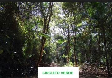 imagem 5 - PALMAS DEL REY, lote amplo e com boa localização! imagem 5 - PALMAS DEL REY, lote amplo e com boa localização!