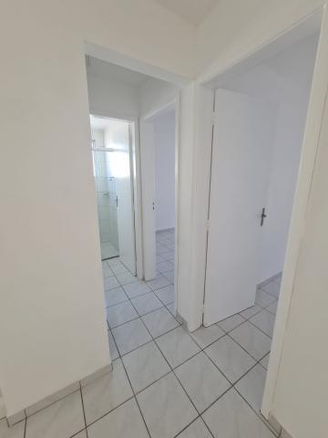 imagem 4 - AGUAS DO SOBRADO - À 5 MINUTOS DO CENTRO DE BAURU imagem 4 - AGUAS DO SOBRADO - À 5 MINUTOS DO CENTRO DE BAURU