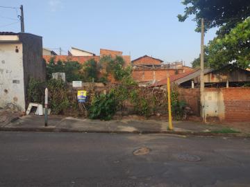 TERRENO INTEIRO NO PARQUE JARAGUÁ - 250M²