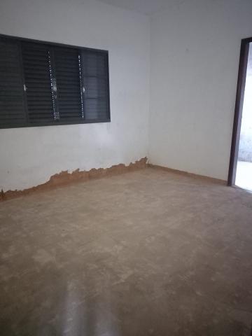 imagem 5 - CASA VILA PARAISO - 3 DORM 1 SUÍTE imagem 5 - CASA VILA PARAISO - 3 DORM 1 SUÍTE
