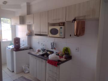 imagem 5 - Apartamento - Padrão imagem 5 - Apartamento - Padrão