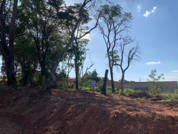 imagem 1 - TERRENO EM RUA ASFALTADA - TANGARÁS imagem 1 - TERRENO EM RUA ASFALTADA - TANGARÁS