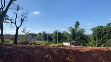 imagem 3 - TERRENO EM RUA ASFALTADA - TANGARÁS imagem 3 - TERRENO EM RUA ASFALTADA - TANGARÁS