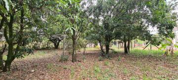 imagem 3 - Rural - ChácaraFazenda imagem 3 - Rural - ChácaraFazenda