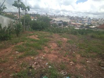imagem 4 - ÓTIMO TERRENO NO VISTA ALEGRE para venda! imagem 4 - ÓTIMO TERRENO NO VISTA ALEGRE para venda!