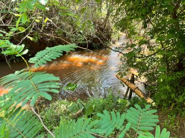 imagem 2 - Rural - ChácaraFazenda imagem 2 - Rural - ChácaraFazenda