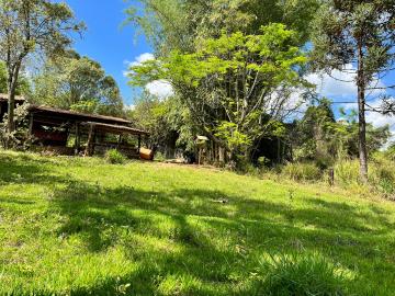 imagem 3 - Rural - ChácaraFazenda imagem 3 - Rural - ChácaraFazenda