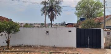 imagem 1 - TERRENO MURADO COM PORTÃO - VILA FALCÃO imagem 1 - TERRENO MURADO COM PORTÃO - VILA FALCÃO