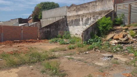 imagem 3 - Terreno murado na Vila Dutra imagem 3 - Terreno murado na Vila Dutra