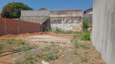 imagem 1 - Terreno murado na Vila Dutra imagem 1 - Terreno murado na Vila Dutra