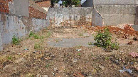 imagem 2 - Terreno murado na Vila Dutra imagem 2 - Terreno murado na Vila Dutra