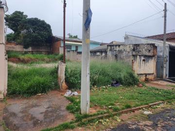 imagem 1 - Terreno - Padrão imagem 1 - Terreno - Padrão