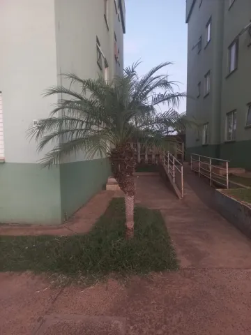 imagem 4 - Apartamento - Padrão imagem 4 - Apartamento - Padrão