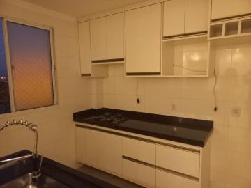 imagem 4 - Apartamento - Padrão imagem 4 - Apartamento - Padrão