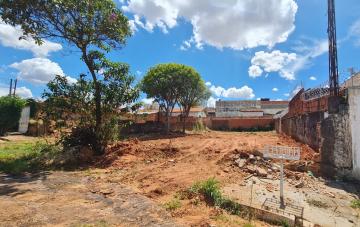 Alugar Terreno / Padrão em Bauru. apenas R$ 170.000,00