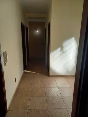 imagem 4 - Linda Residência no Alto PAraíso imagem 4 - Linda Residência no Alto PAraíso