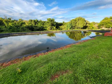 imagem 2 - RANCHO imagem 2 - RANCHO