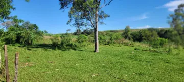 imagem 3 - 01 ALQUEIRE NO BAIRRO FIGUEIRA imagem 3 - 01 ALQUEIRE NO BAIRRO FIGUEIRA