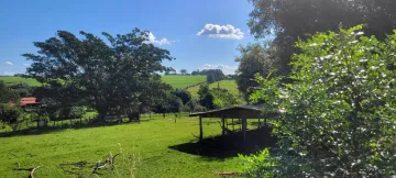 imagem 4 - 01 ALQUEIRE NO BAIRRO FIGUEIRA imagem 4 - 01 ALQUEIRE NO BAIRRO FIGUEIRA