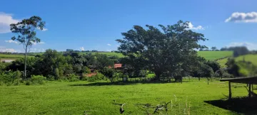 imagem 5 - 01 ALQUEIRE NO BAIRRO FIGUEIRA imagem 5 - 01 ALQUEIRE NO BAIRRO FIGUEIRA