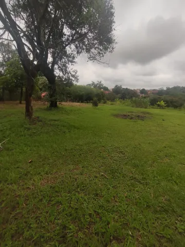 imagem 4 - Área com 3.144,13m² no Tangarás imagem 4 - Área com 3.144,13m² no Tangarás