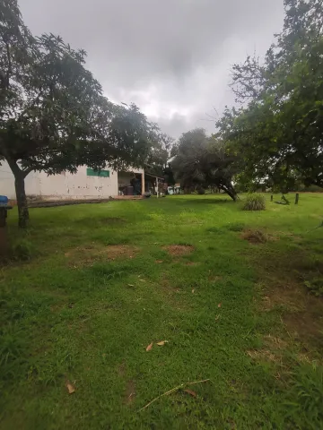 imagem 3 - Área com 4.205,09m² no Tangarás imagem 3 - Área com 4.205,09m² no Tangarás