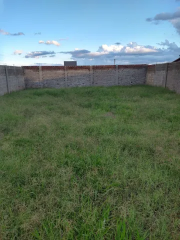 TERRENO PLANO E MURADO PARA CONSTRUIR