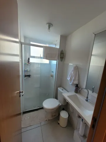 imagem 4 - BELA FRANÇA imagem 4 - BELA FRANÇA