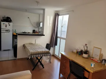 imagem 2 - BELA FRANÇA imagem 2 - BELA FRANÇA