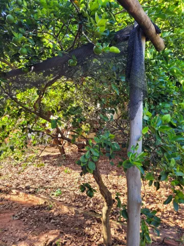 Rancho Próximo ao Rio Tiete