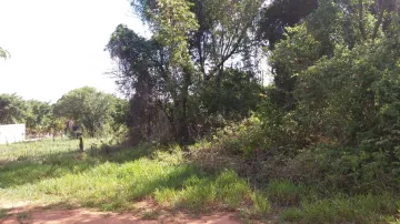 imagem 1 - TERRENO - VALE DO IGAPÓ imagem 1 - TERRENO - VALE DO IGAPÓ