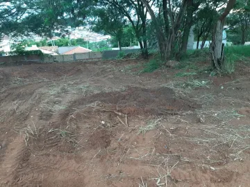imagem 2 - Ótimo lote para venda no Jardim Ivone! imagem 2 - Ótimo lote para venda no Jardim Ivone!