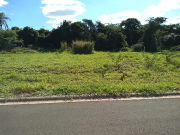 TERRENO NO ASFALTO - VALE DO IGAPÓ