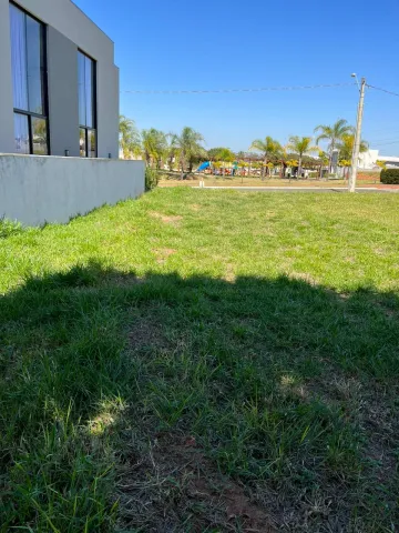 imagem 4 - TAMBORÉ imagem 4 - TAMBORÉ